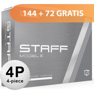 Staff Model X